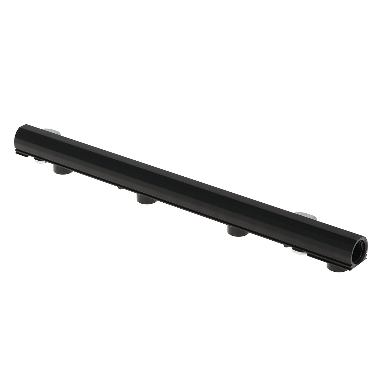Fuel Rail Kit, 96-04 4.6L SOHC Mustang GT