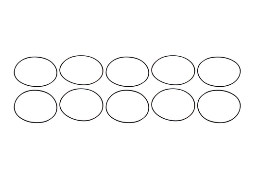 Canister Style Diameter Replacement Filter O-Rings, 10 pack