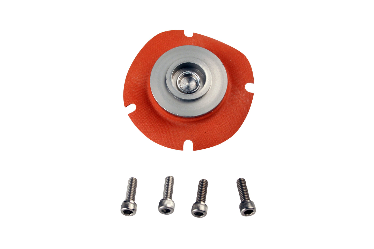 EFI / Carb Regulator Service Kit