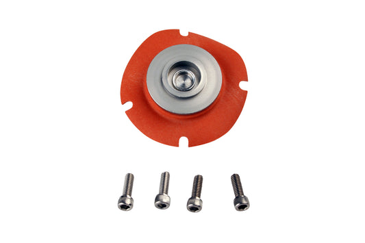 EFI / Carb Regulator Service Kit
