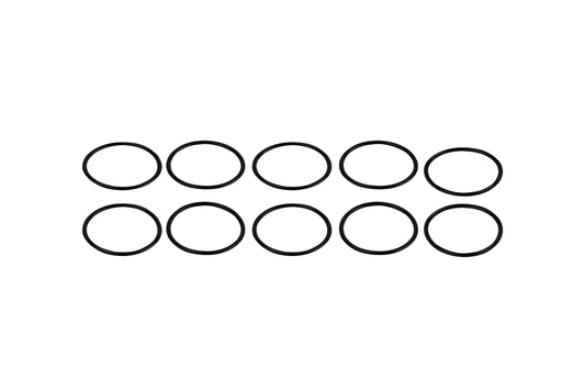 1-1/4" Filter Body 10 Replacement O-Rings