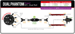 Dual Phantom Staged EFI - Dual Rail